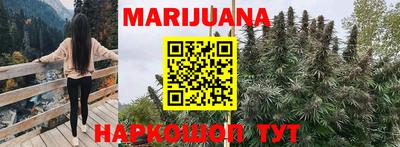 тгк Новодвинск