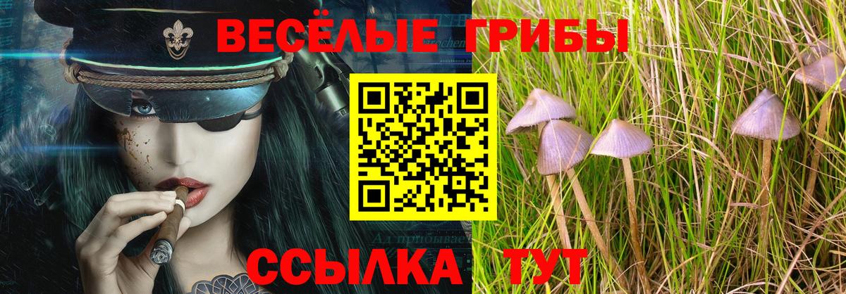 Псилоцибиновые грибы прущие грибы  Вход с VPN  Чебаркуль 