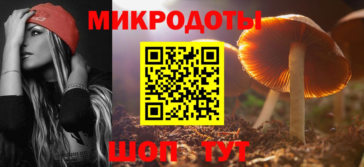 Галлюциногенные грибы Psilocybine cubensis Чебаркуль